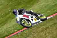 cadwell-no-limits-trackday;cadwell-park;cadwell-park-photographs;cadwell-trackday-photographs;enduro-digital-images;event-digital-images;eventdigitalimages;no-limits-trackdays;peter-wileman-photography;racing-digital-images;trackday-digital-images;trackday-photos